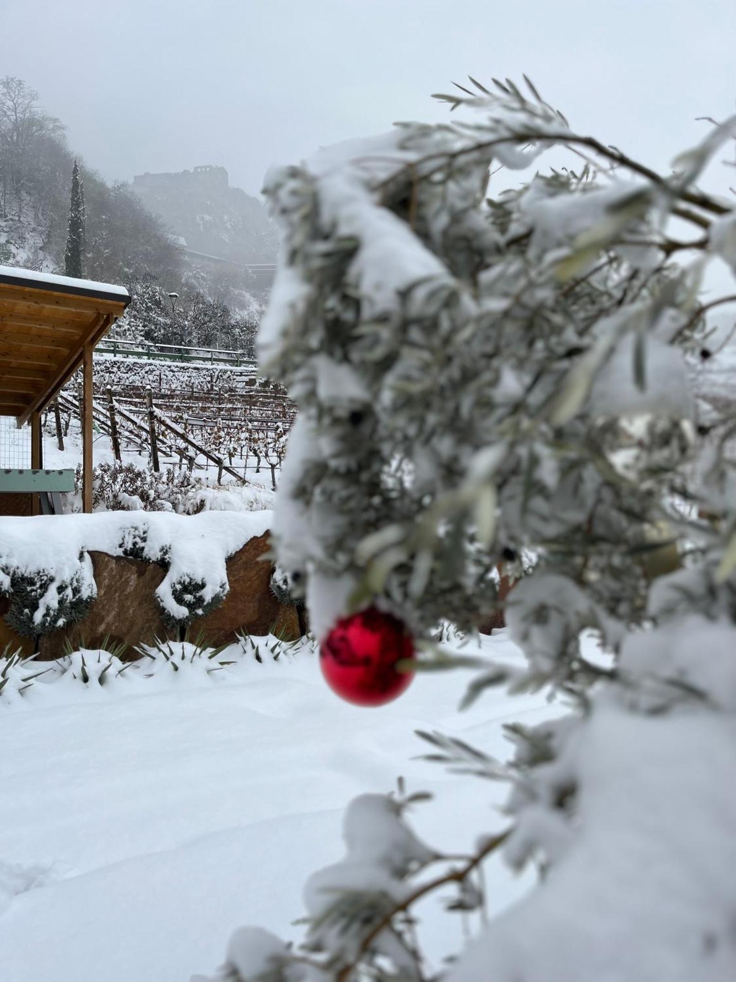 Apartamento Egarter Appiano Sulla Strada Del Vino Exterior foto