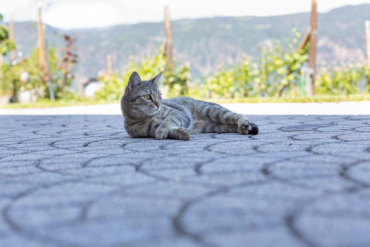 Apartamento Egarter Appiano Sulla Strada Del Vino Exterior foto